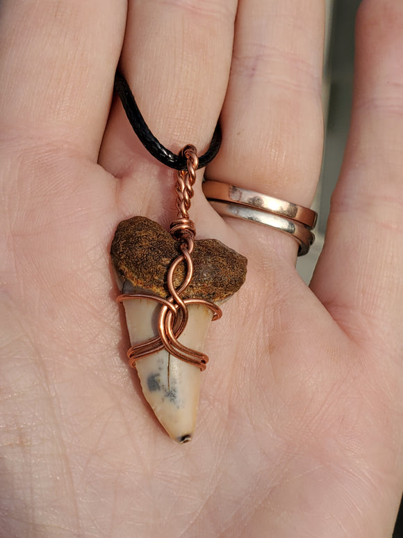 C0148 Wire-Wrapped Shark Tooth