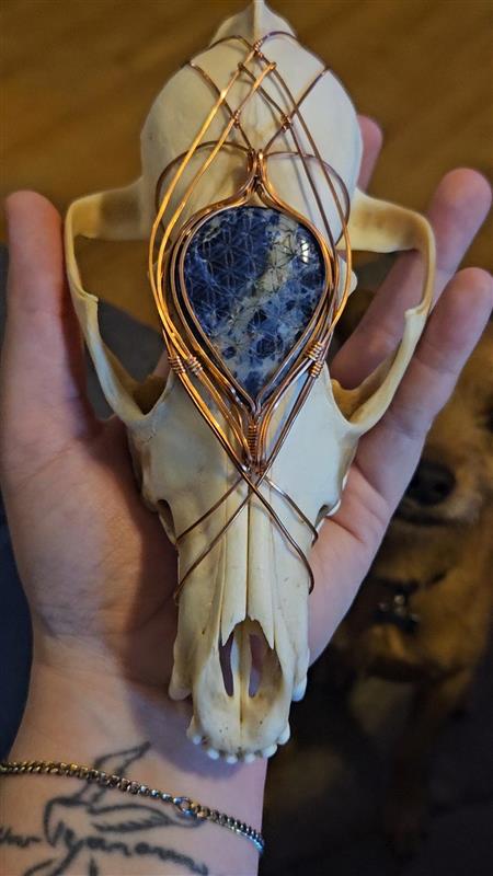 Seed and Sewn